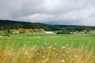 A scenic shot of a rural farm embracing climate-smart, sustainable practices under a deep forest green sky.