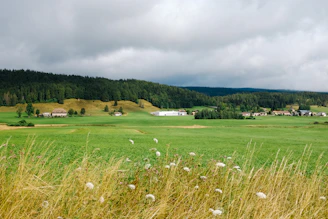 A scenic shot of a rural farm embracing climate-smart, sustainable practices under a deep forest green sky.
