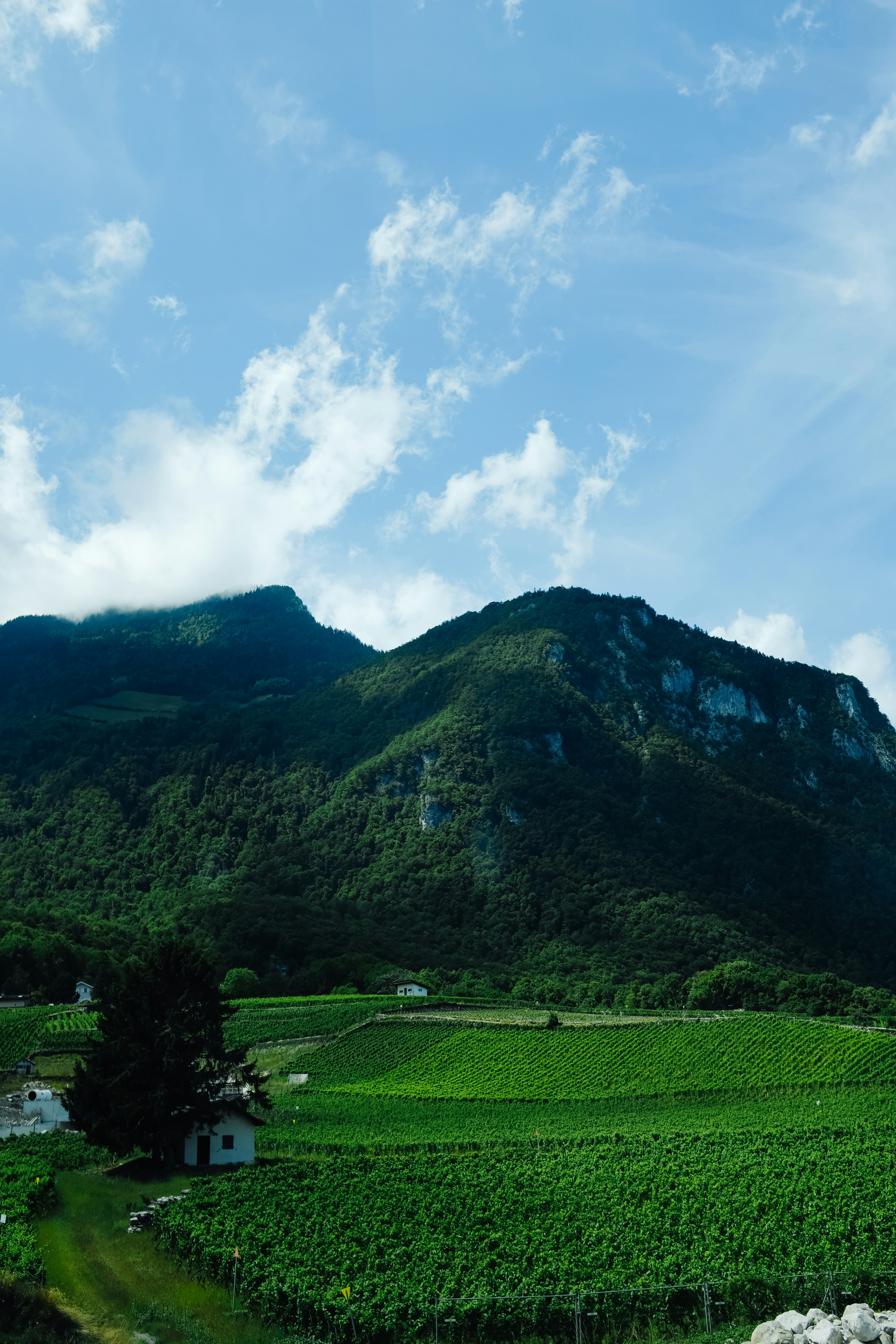 Photo by adrienolichon