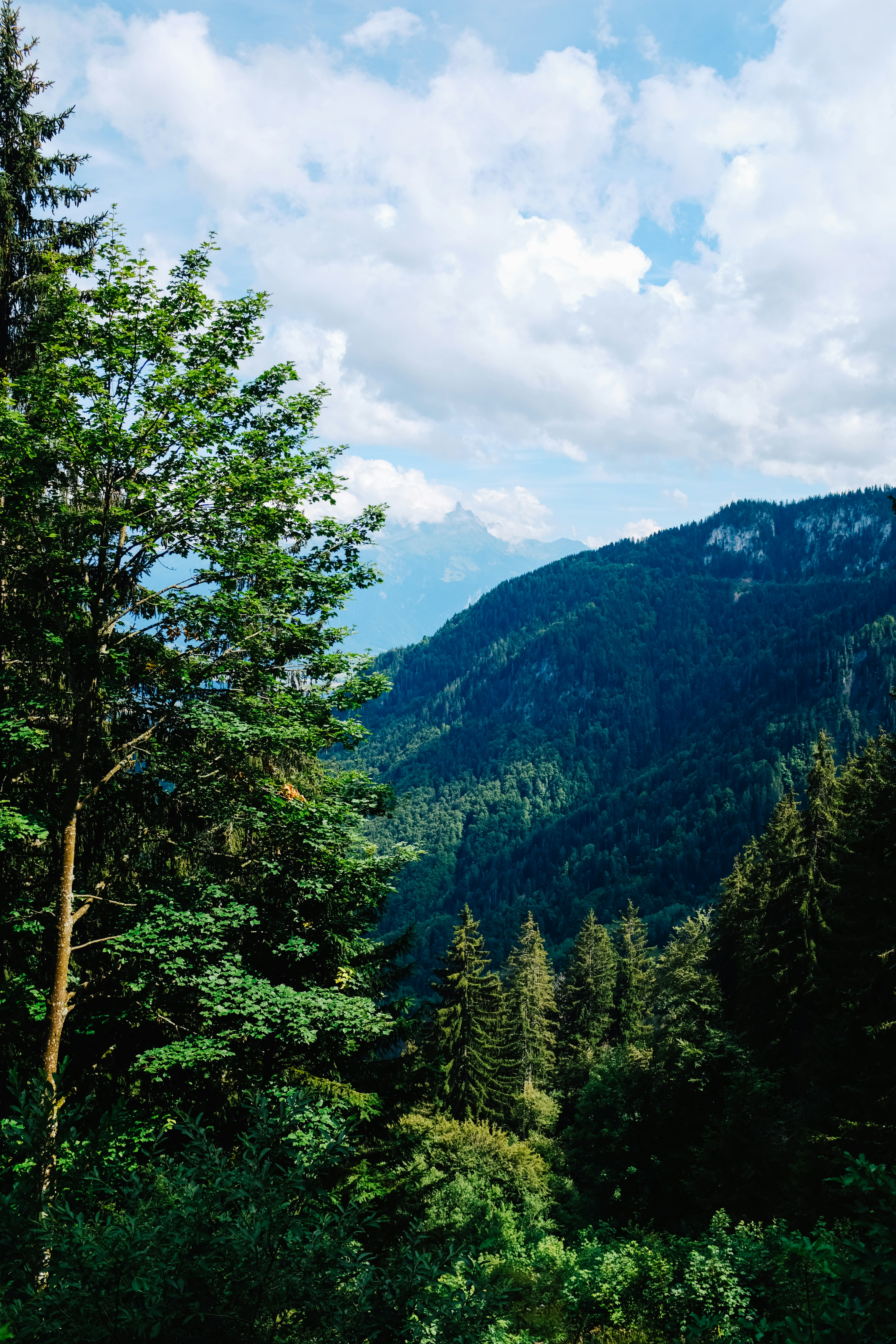 Photo by adrienolichon