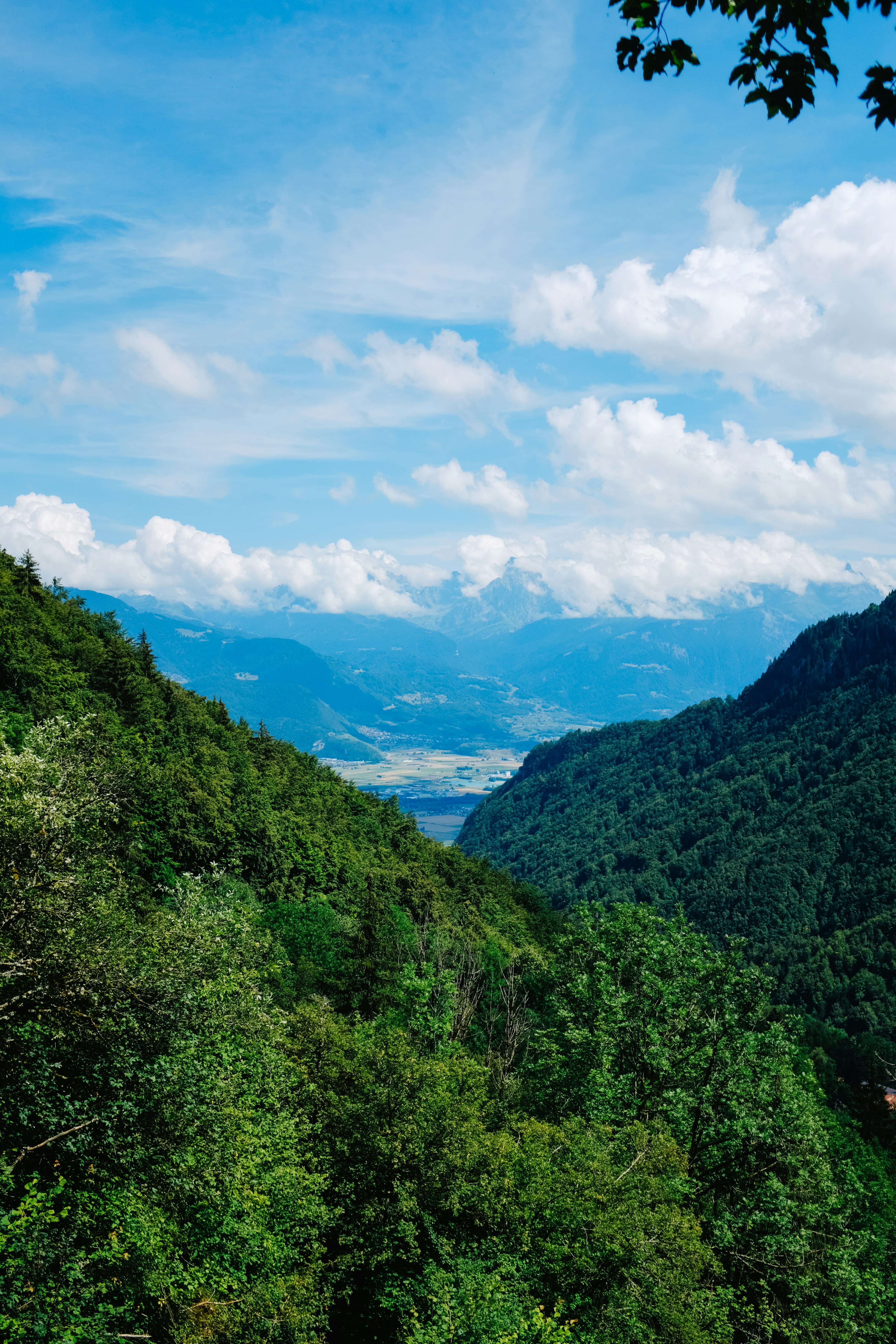 Photo by adrienolichon