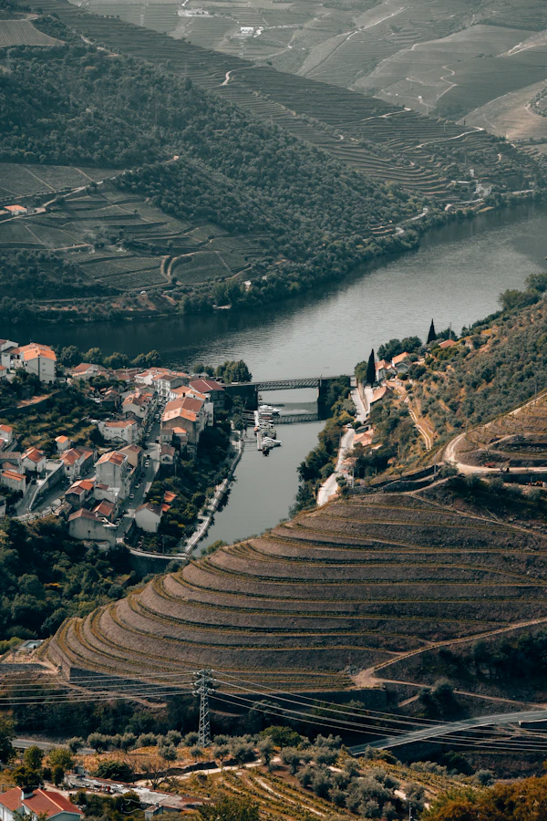 Peso da Régua & Baixo Corgo — Gateway town, river quays, wine museum
