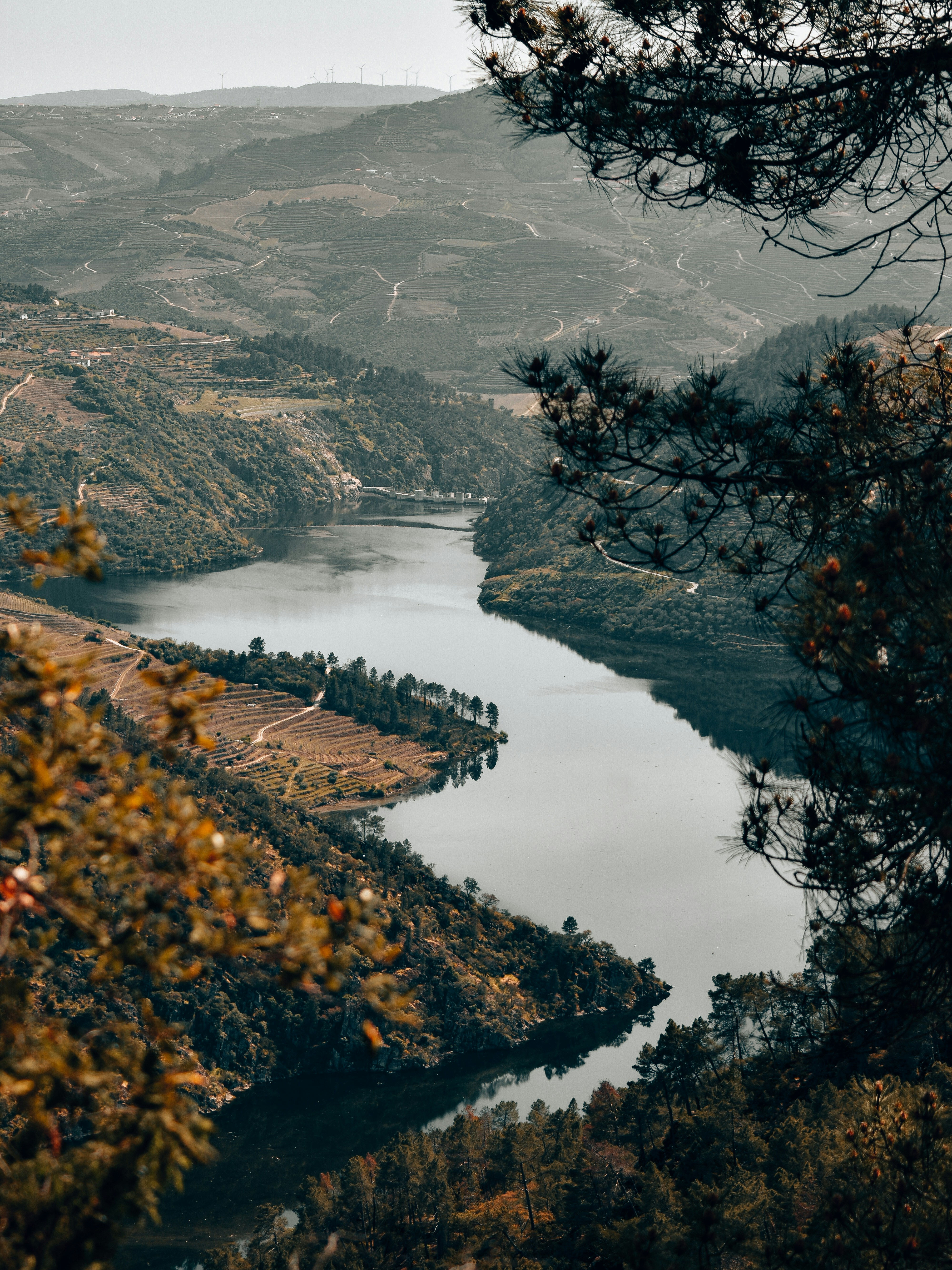 Douro Valley travel photo