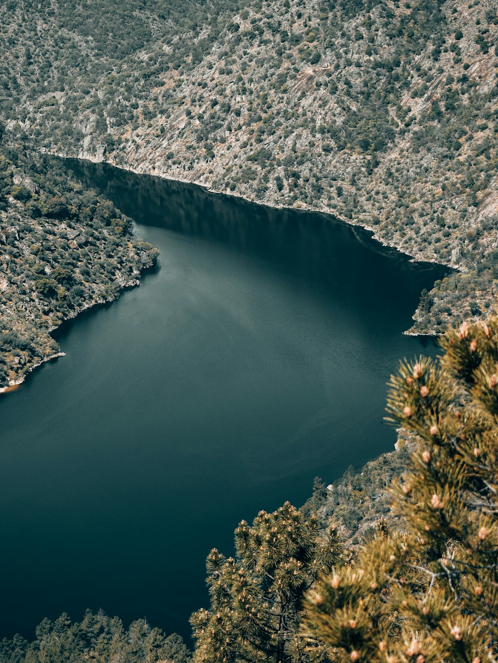 a large body of water surrounded by trees