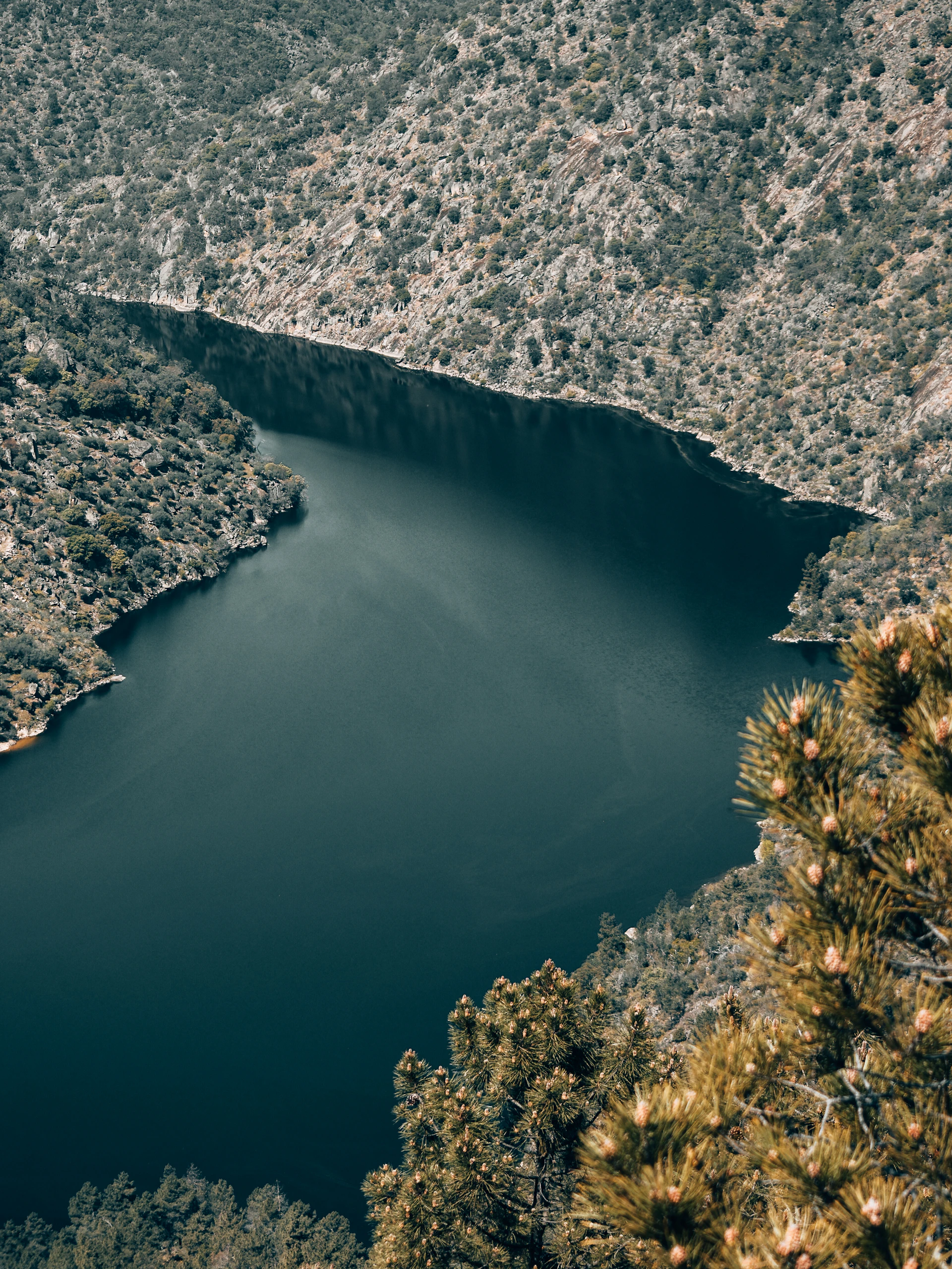 The Douro river bending between the terraces