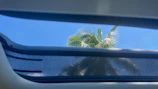 A spacious family car cruising past palm trees under a clear blue sky.