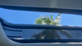 A clean, replaced windshield shining under the California sun with a clear view of palm trees.