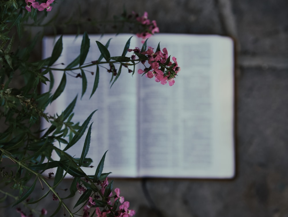 Un libro aperto seduto sopra un tavolo accanto ai fiori