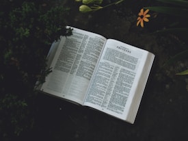 An open book displaying a section titled 'The Book of Proverbs', surrounded by lush green foliage and a single yellow flower. The setting is outdoors, possibly in a garden, indicated by the presence of leaves and plants partially framing the book.