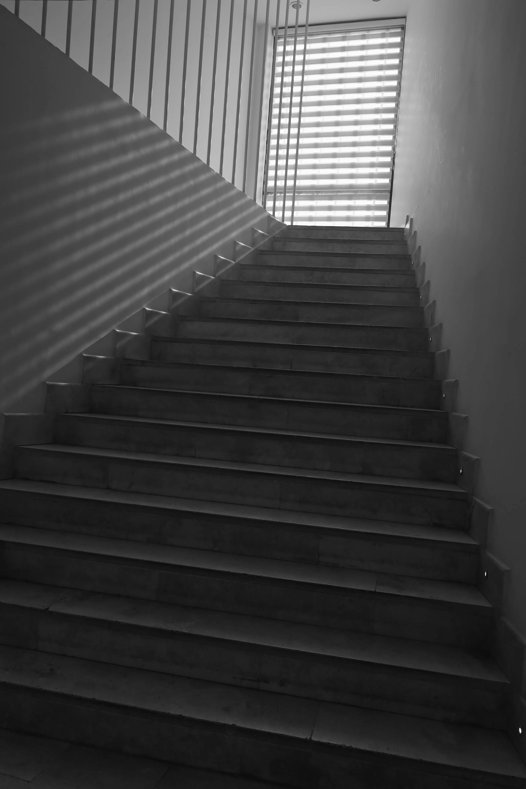 Photo by kavehrasooli