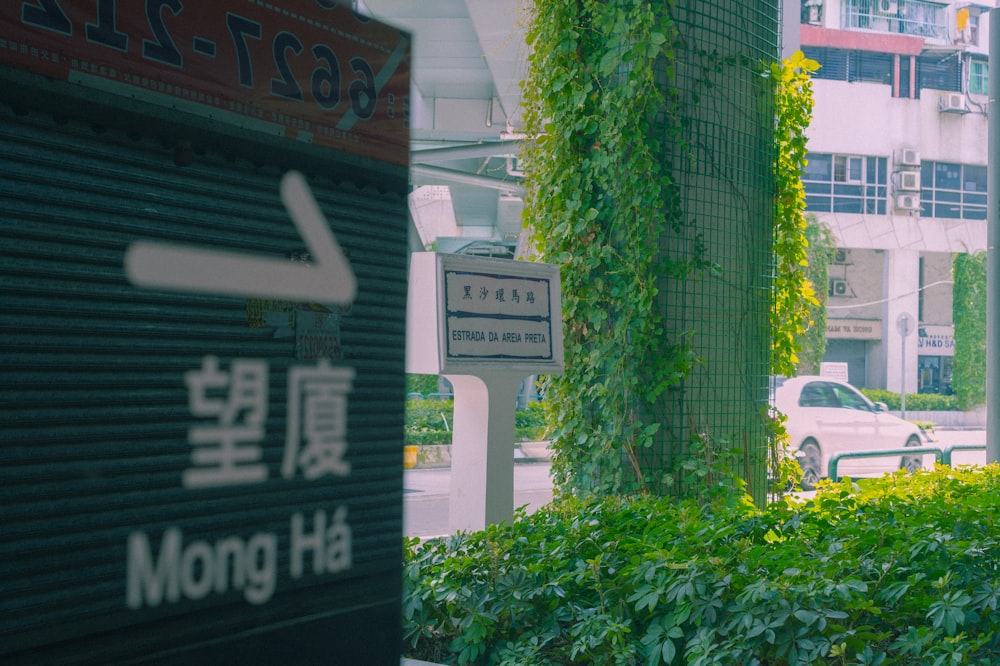 a street sign in front of a building covered in vines