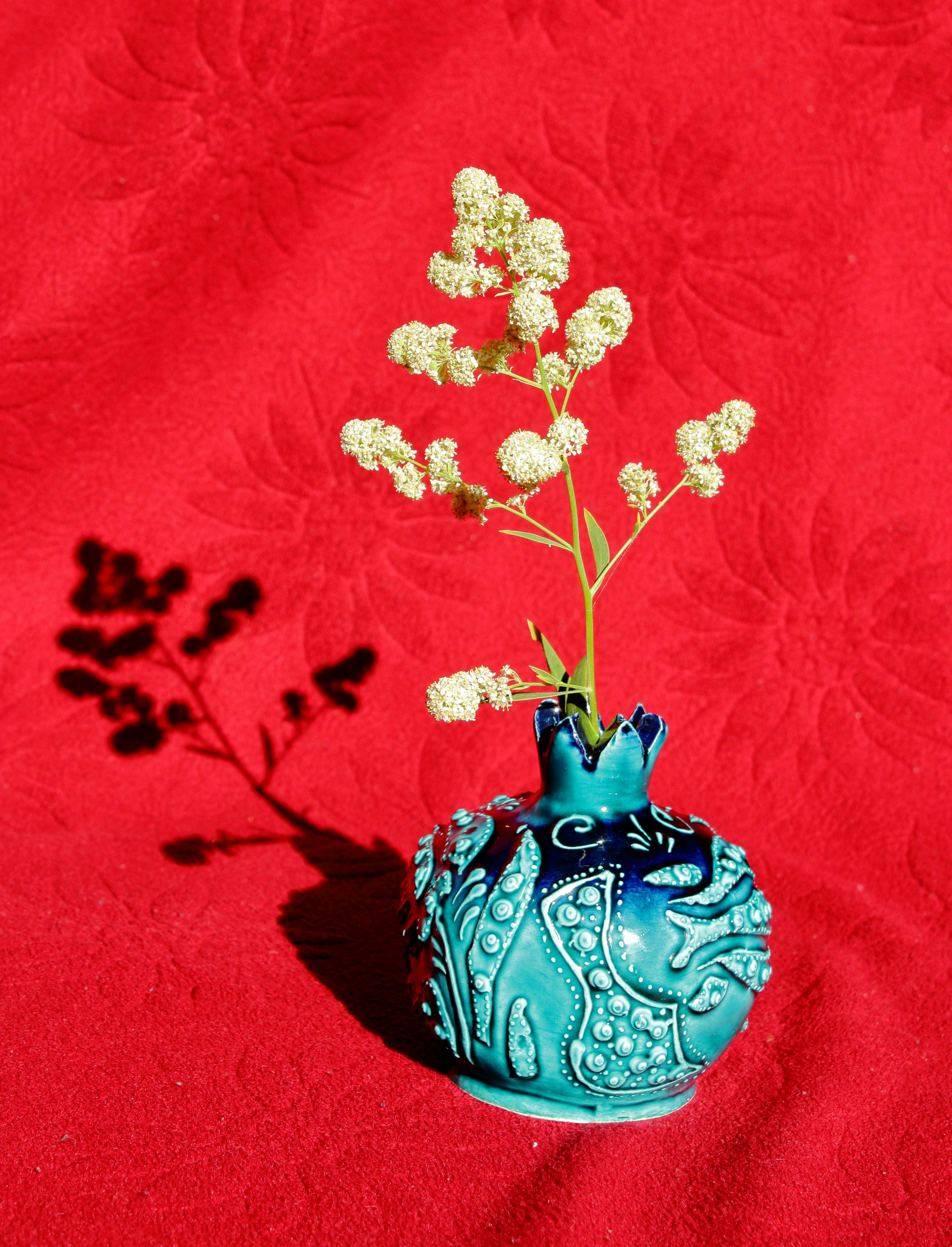 A small blue vase with white flowers in it photo Free Flowers Image
