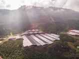 A large agricultural facility is nestled within a lush, green valley surrounded by densely forested hills. The buildings have long, rectangular roofs, likely indicating greenhouses or storage areas. Sunlight filters through scattered clouds, casting gentle rays on the landscape.