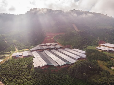 A large agricultural facility is nestled within a lush, green valley surrounded by densely forested hills. The buildings have long, rectangular roofs, likely indicating greenhouses or storage areas. Sunlight filters through scattered clouds, casting gentle rays on the landscape.