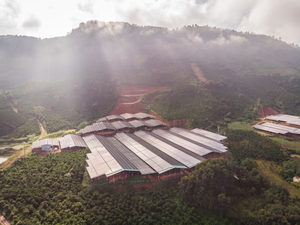 L&rsquo;Agriculture Durable : Une Pratique Essentielle pour l&rsquo;Avenir