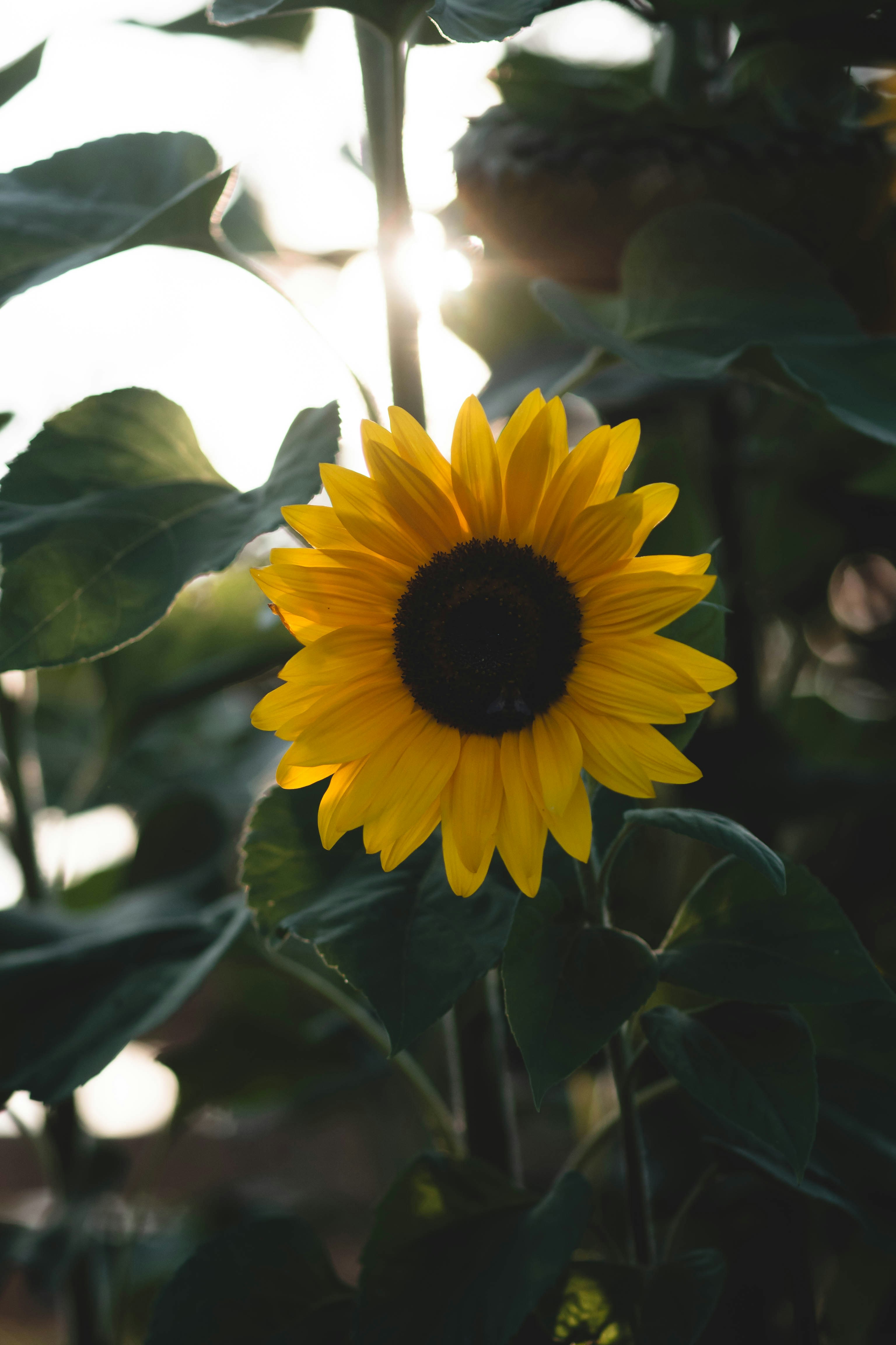 Photo by eileen_kummer