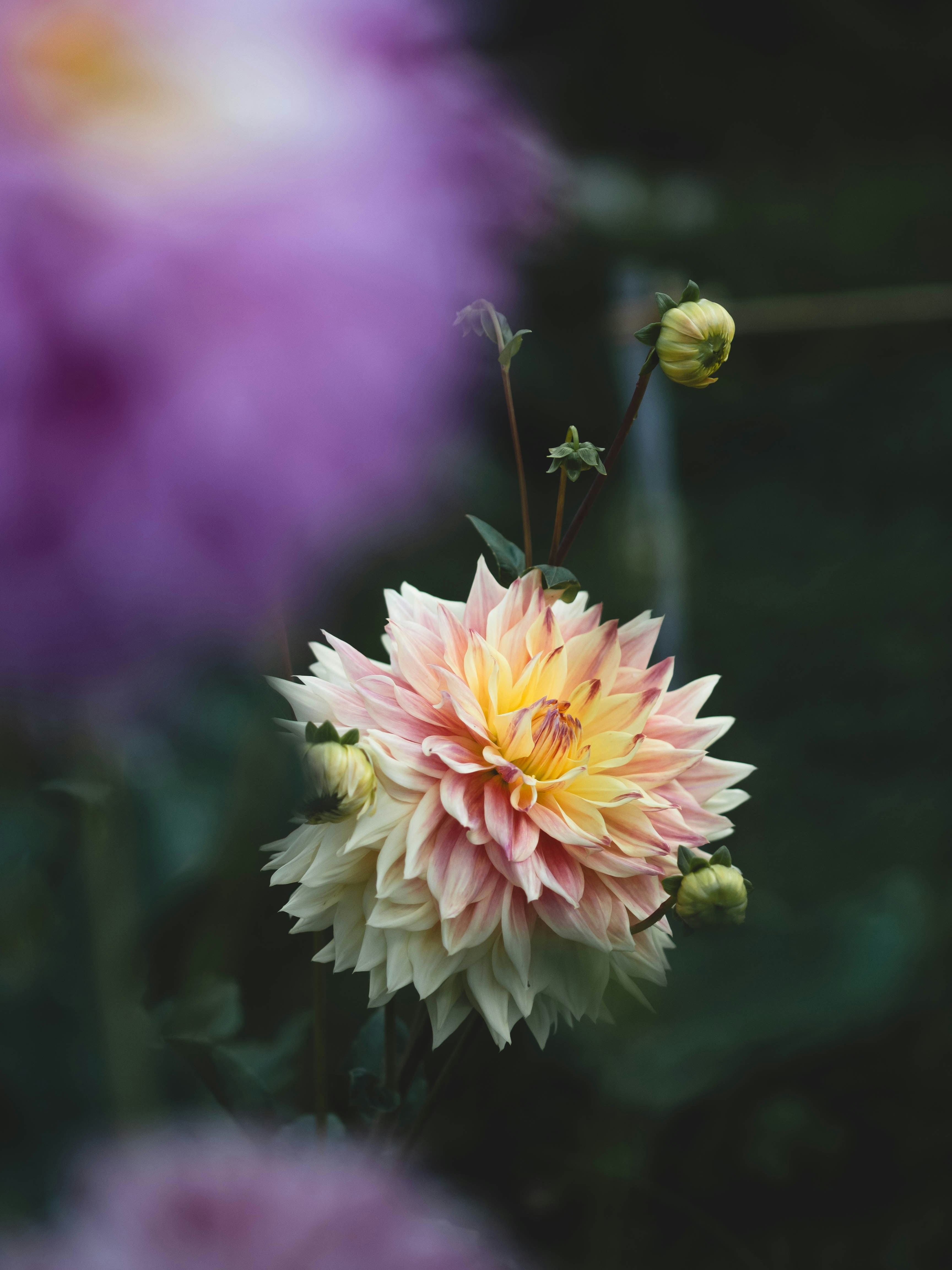 Photo by eileen_kummer