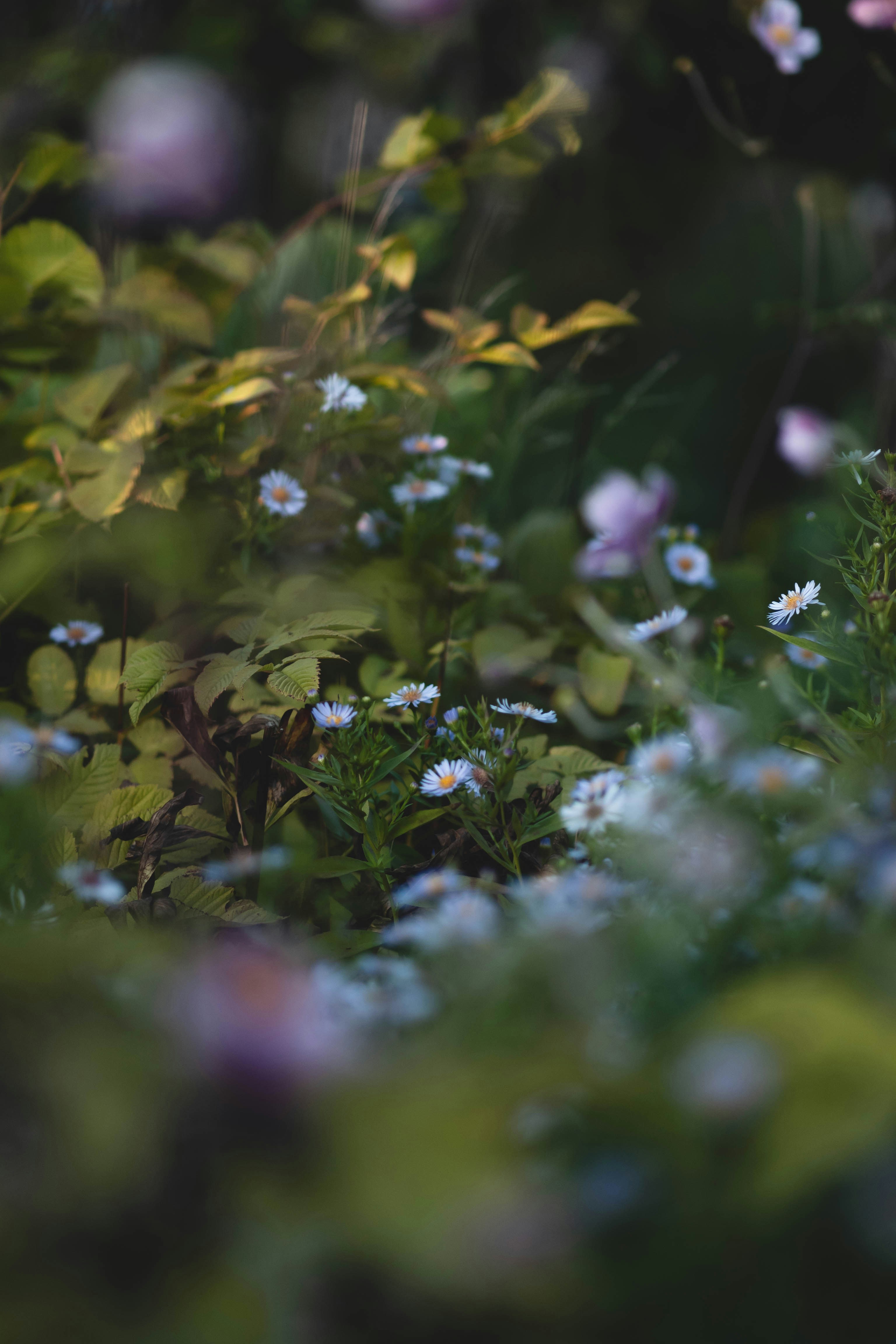 Photo by eileen_kummer