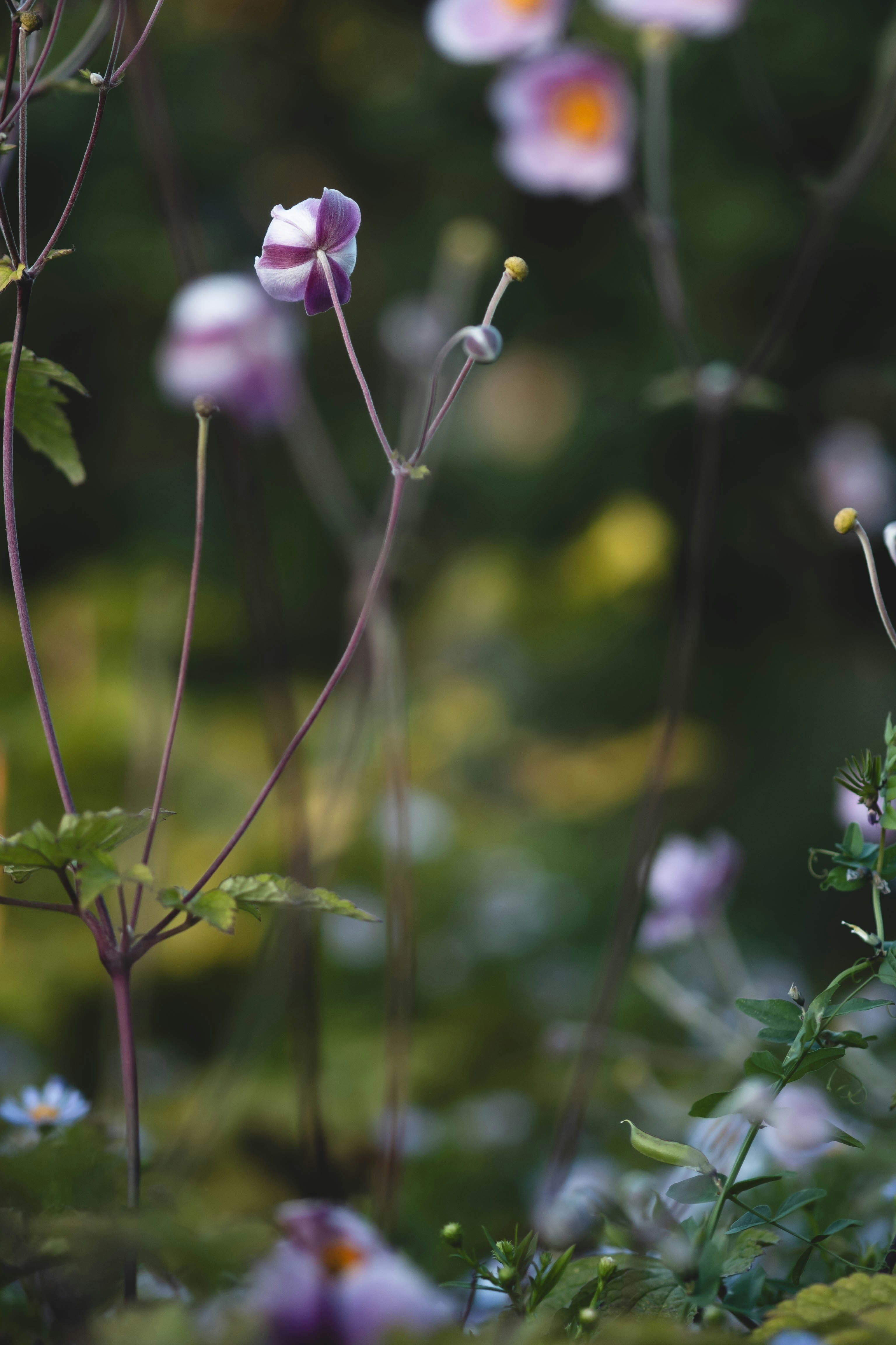 Photo by eileen_kummer