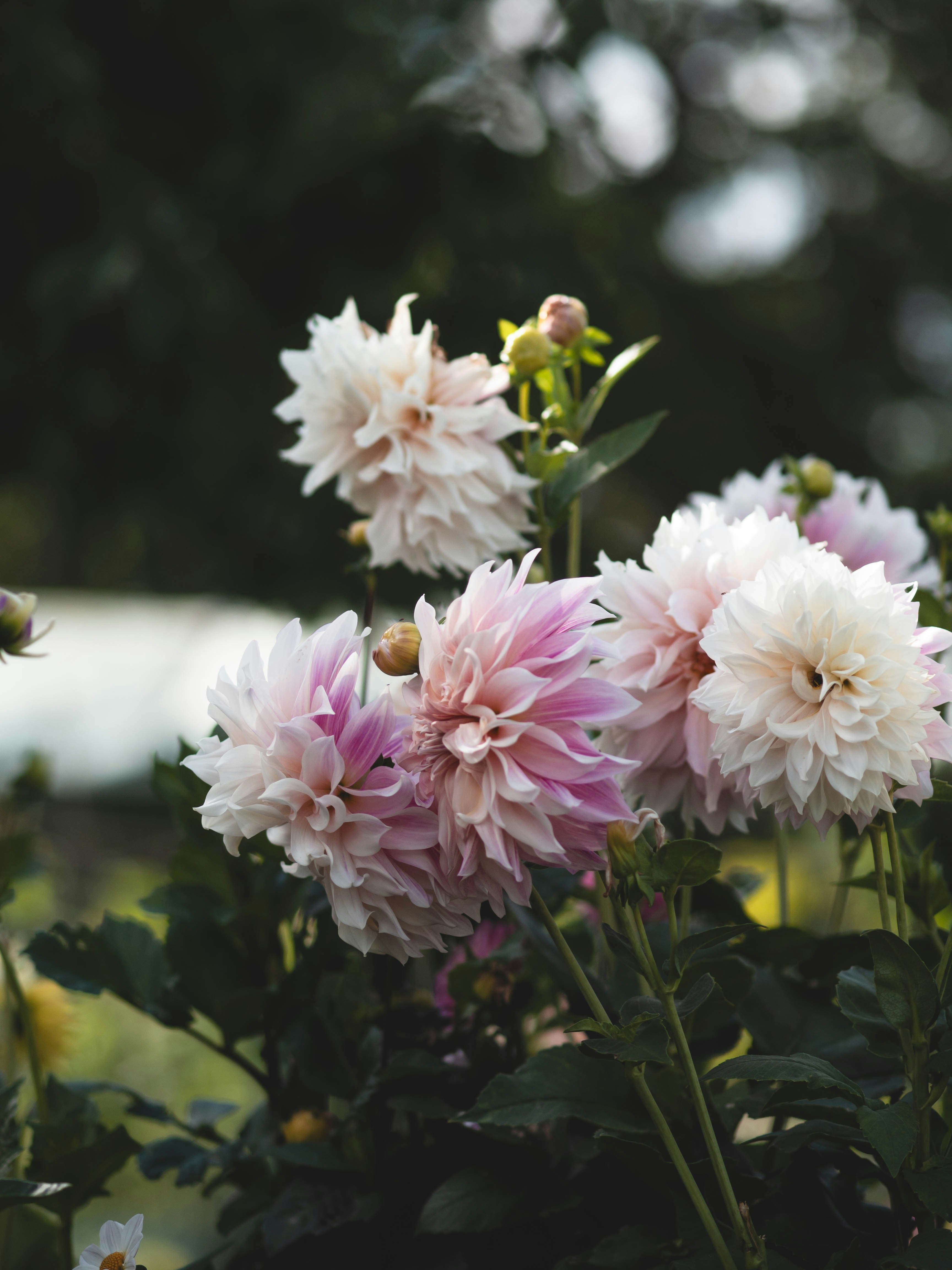 Photo by eileen_kummer