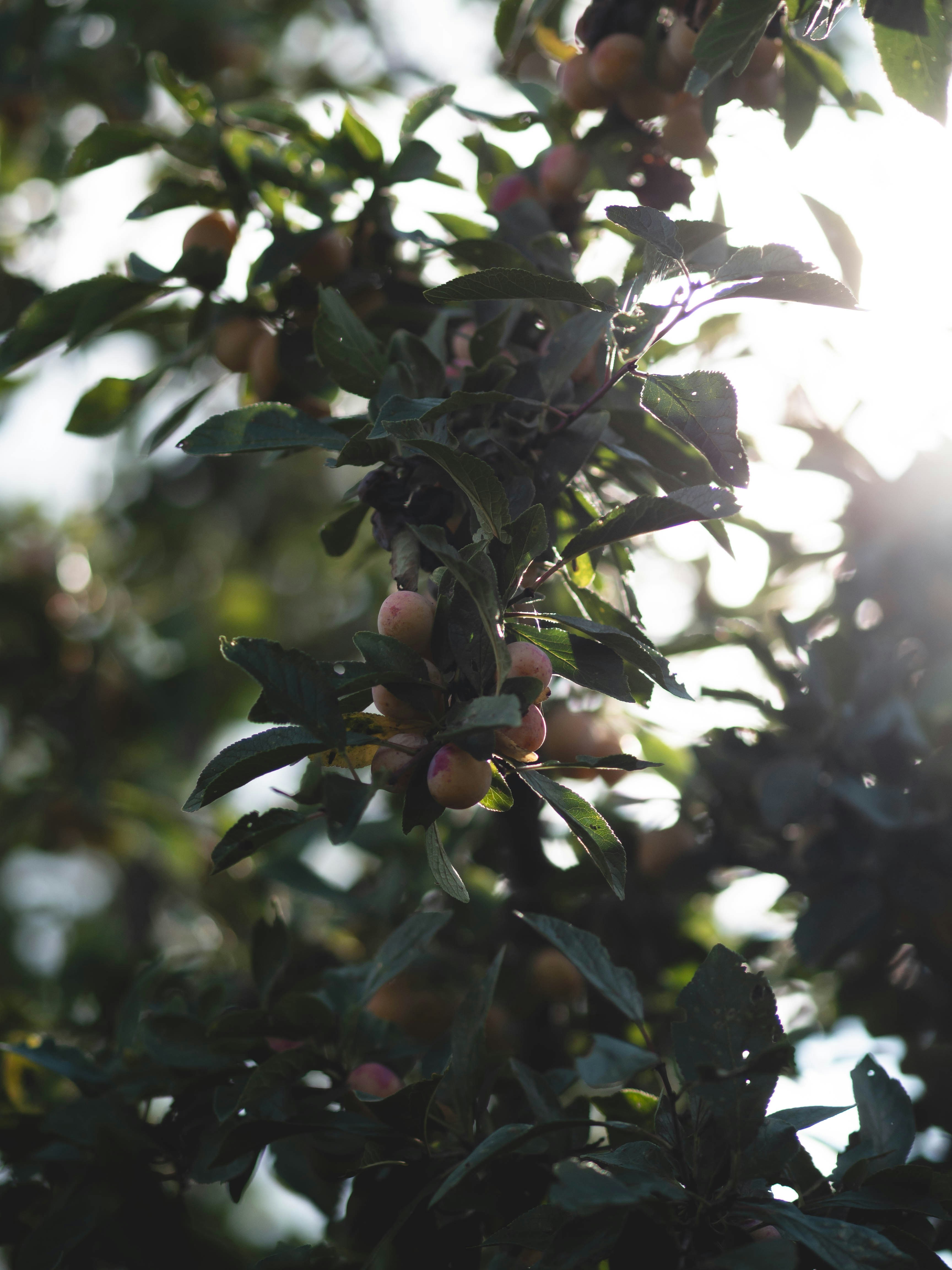 Photo by eileen_kummer