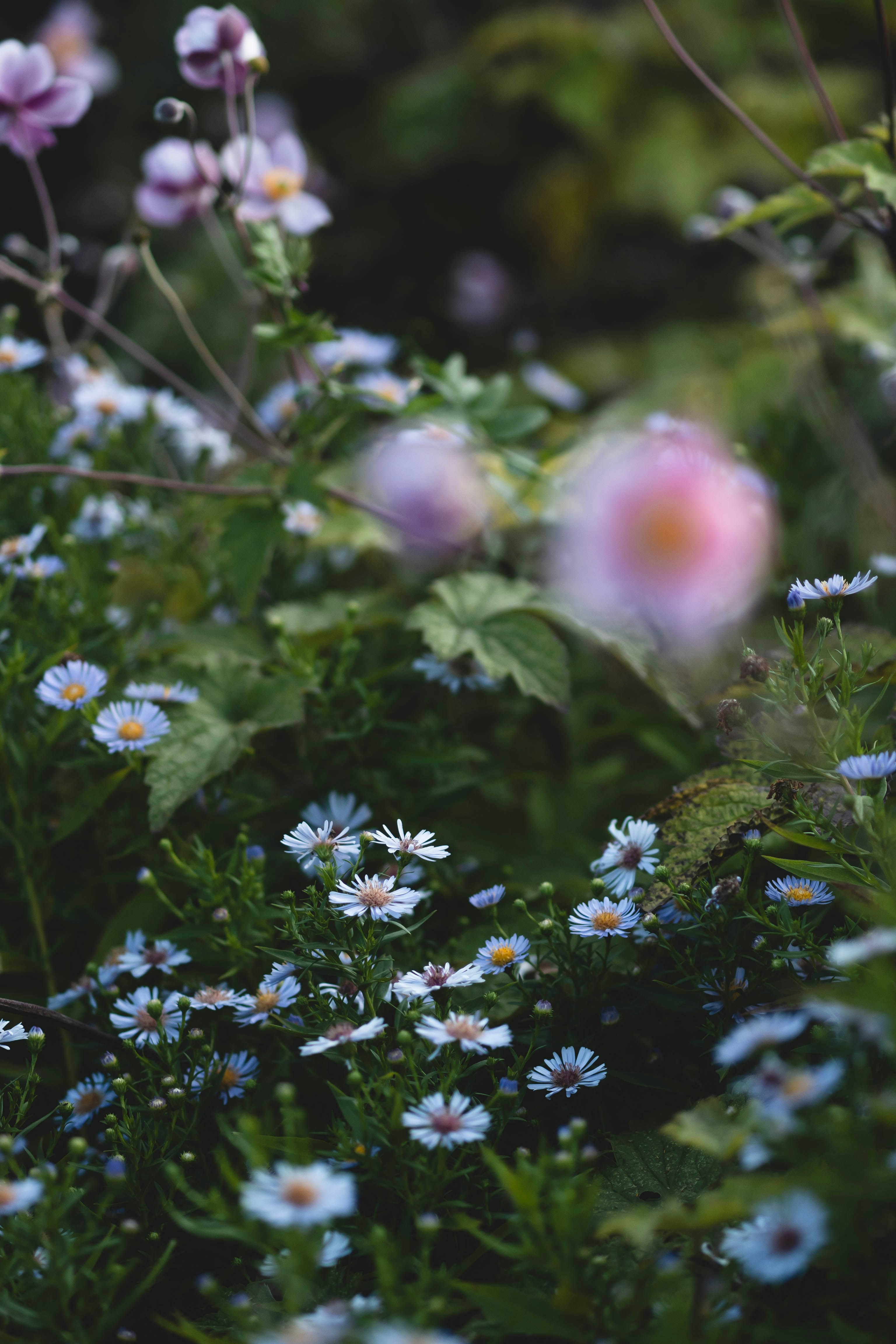 Photo by eileen_kummer