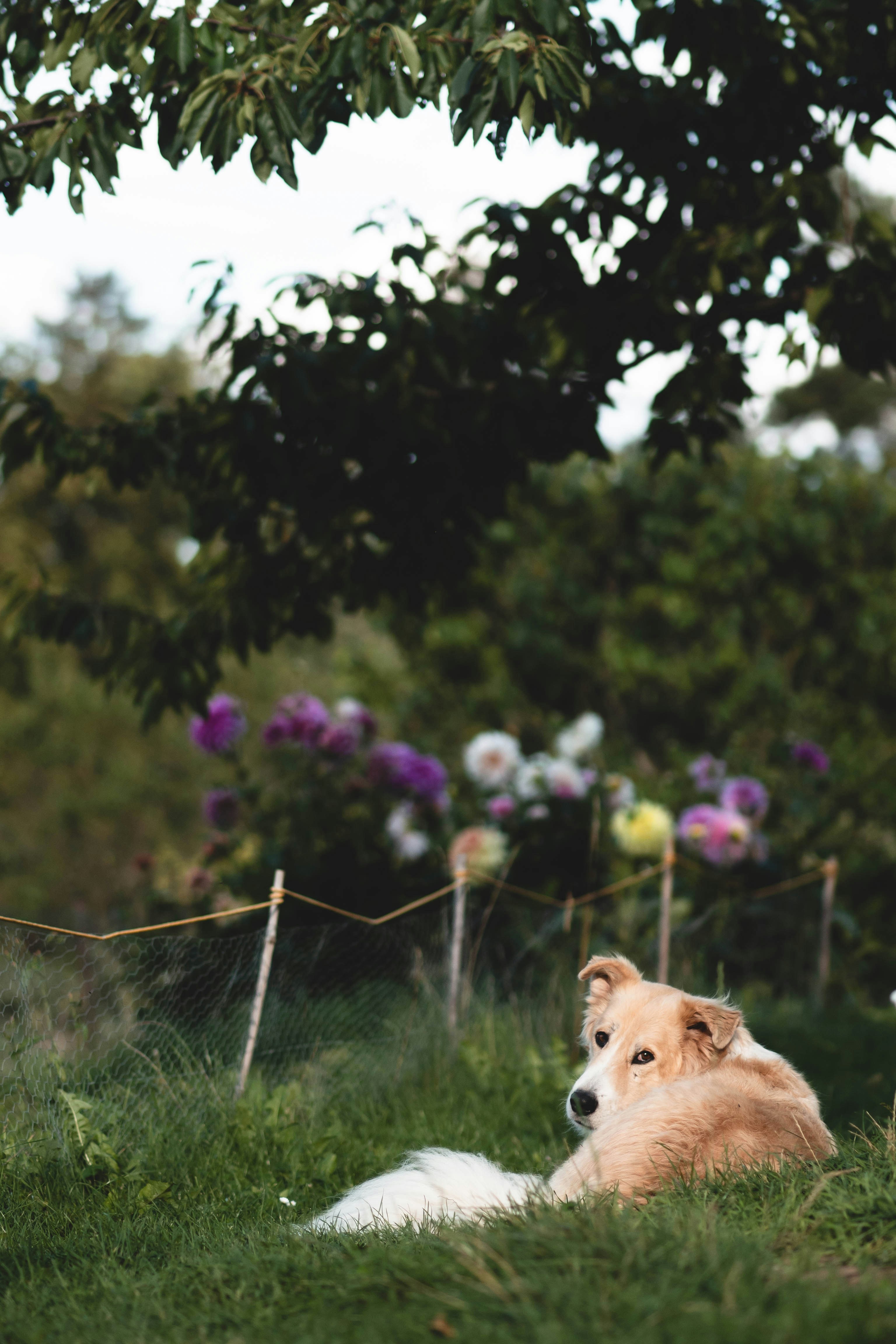 Photo by eileen_kummer