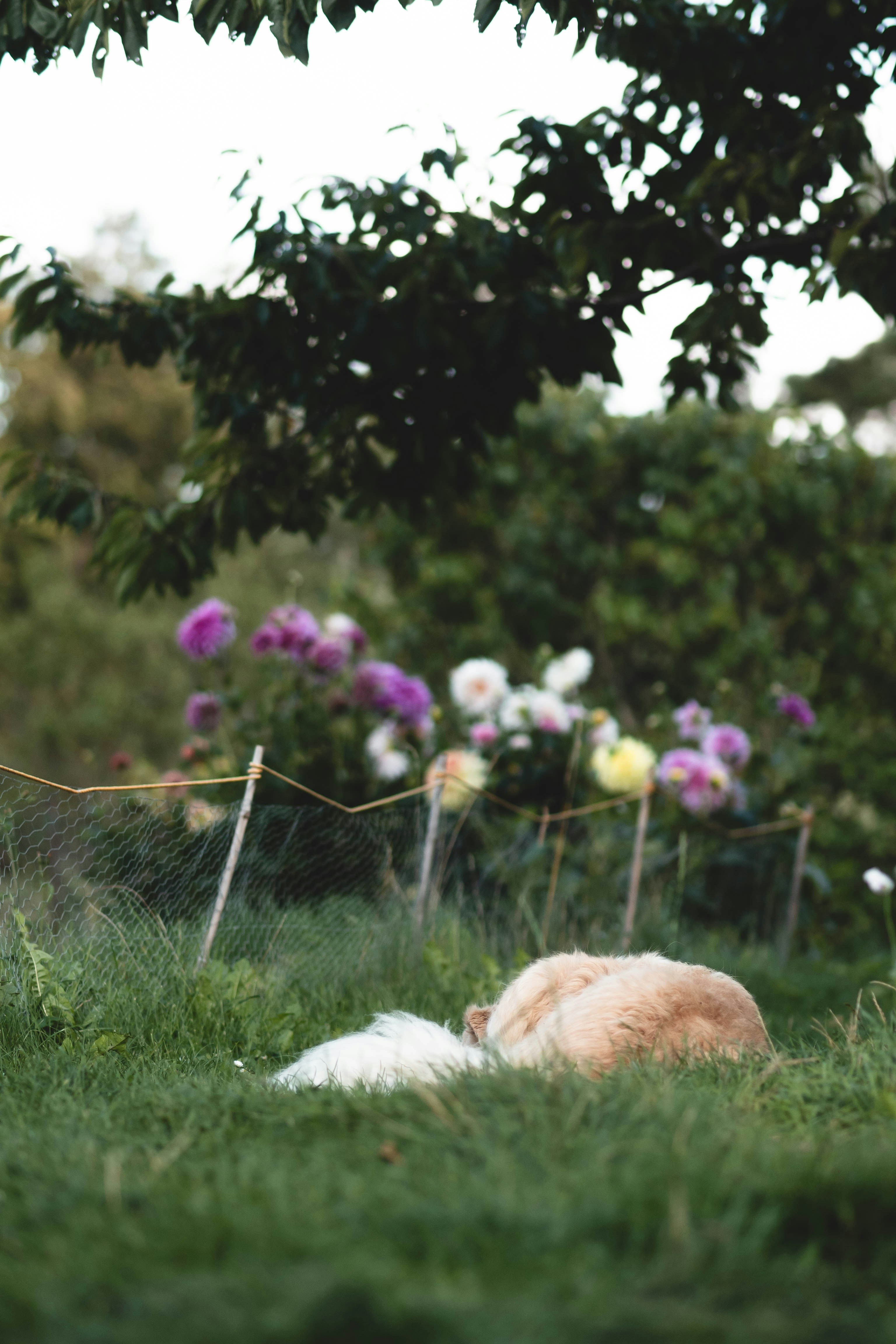 Photo by eileen_kummer