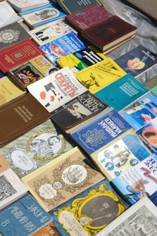 A variety of books are displayed on a flat surface, featuring covers with diverse colors and designs. The books are arranged in multiple rows and columns, with several titles in different languages, including some Cyrillic script. The covers depict illustrations, portraits, and abstract art, suggesting a mix of genres and subjects.