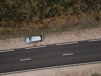 An aerial view of a road with a parked car on a dirt shoulder. A person stands beside the vehicle looking upwards, while vegetation lines the opposite side of the street.