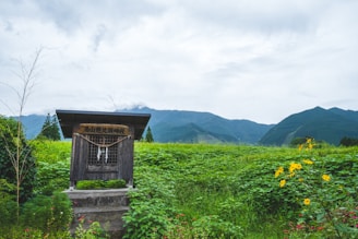 Image of a peaceful mountain shrine surrounded by lush greenery