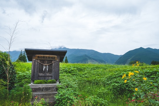 A peaceful view of an ancient Marian shrine surrounded by blooming pastel flowers and young visitors.