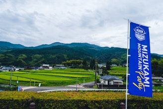 A vibrant farm landscape in Mushishiro with crops and livestock coexisting harmoniously.