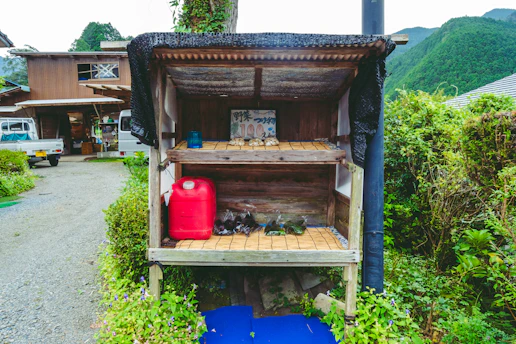 A small wooden food house filled with canned goods and fresh produce on a sunny neighborhood sidewalk.