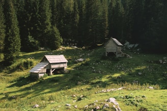 A serene, lush green meadow flanked by dense forest. Two rustic wooden huts with slanted roofs are nestled amidst the greenery. Sunlight filters through, casting shadows and creating a peaceful ambiance.