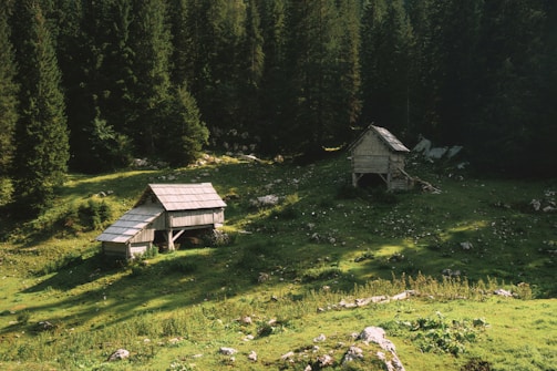 A serene, lush green meadow flanked by dense forest. Two rustic wooden huts with slanted roofs are nestled amidst the greenery. Sunlight filters through, casting shadows and creating a peaceful ambiance.