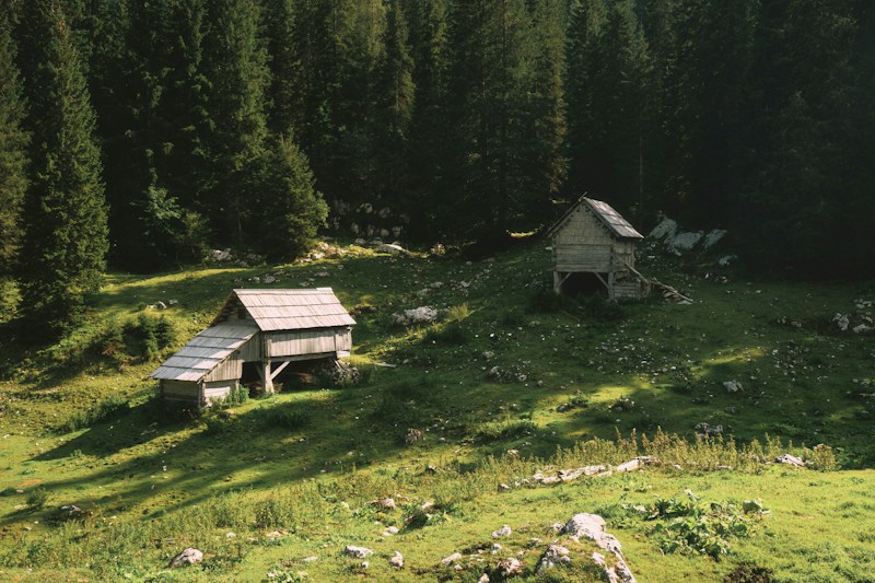 A serene, lush green meadow flanked by dense forest. Two rustic wooden huts with slanted roofs are nestled amidst the greenery. Sunlight filters through, casting shadows and creating a peaceful ambiance.