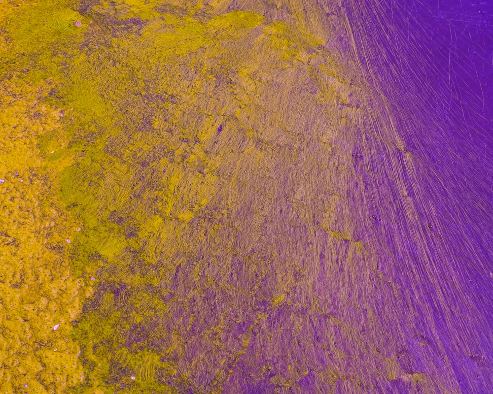 an aerial view of a yellow and purple field