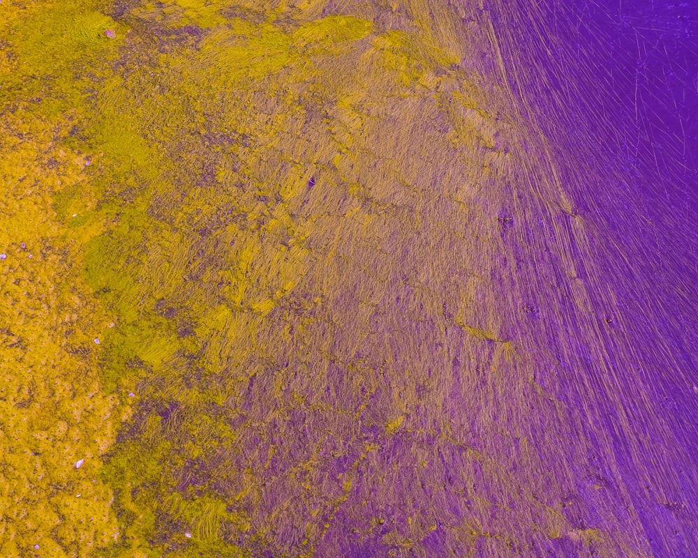 Una veduta aerea di un campo giallo e viola