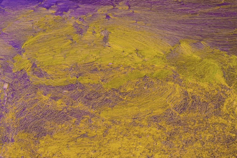 a close up of a yellow and purple substance
