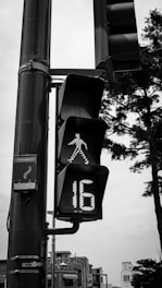 A pedestrian traffic light displays a green walking figure and a countdown timer showing the number 16. The traffic light is mounted on a tall pole, and there are trees and buildings visible in the background. The image is in black and white.