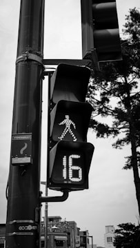 A pedestrian traffic light displays a green walking figure and a countdown timer showing the number 16. The traffic light is mounted on a tall pole, and there are trees and buildings visible in the background. The image is in black and white.