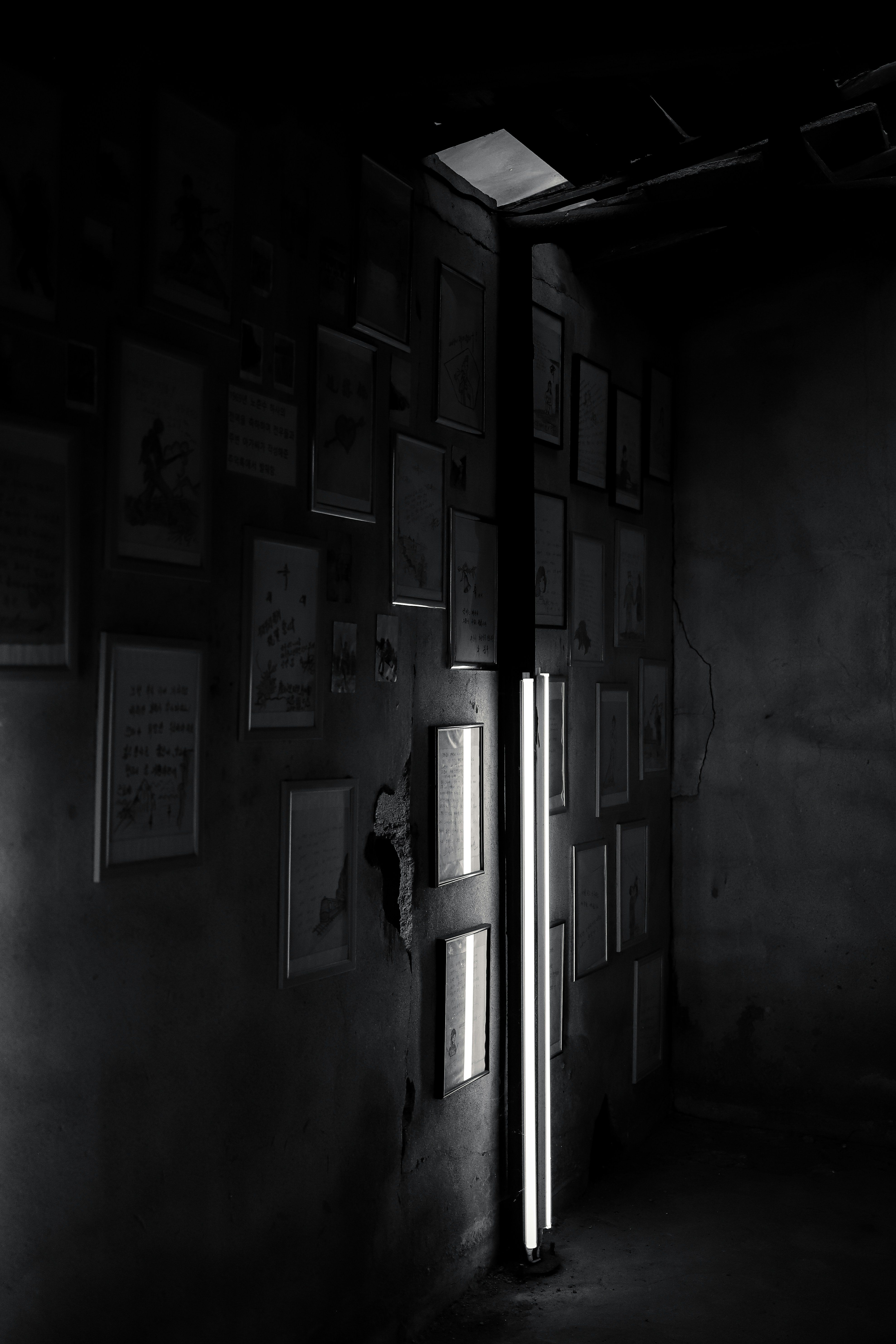 Photo by andysong1023