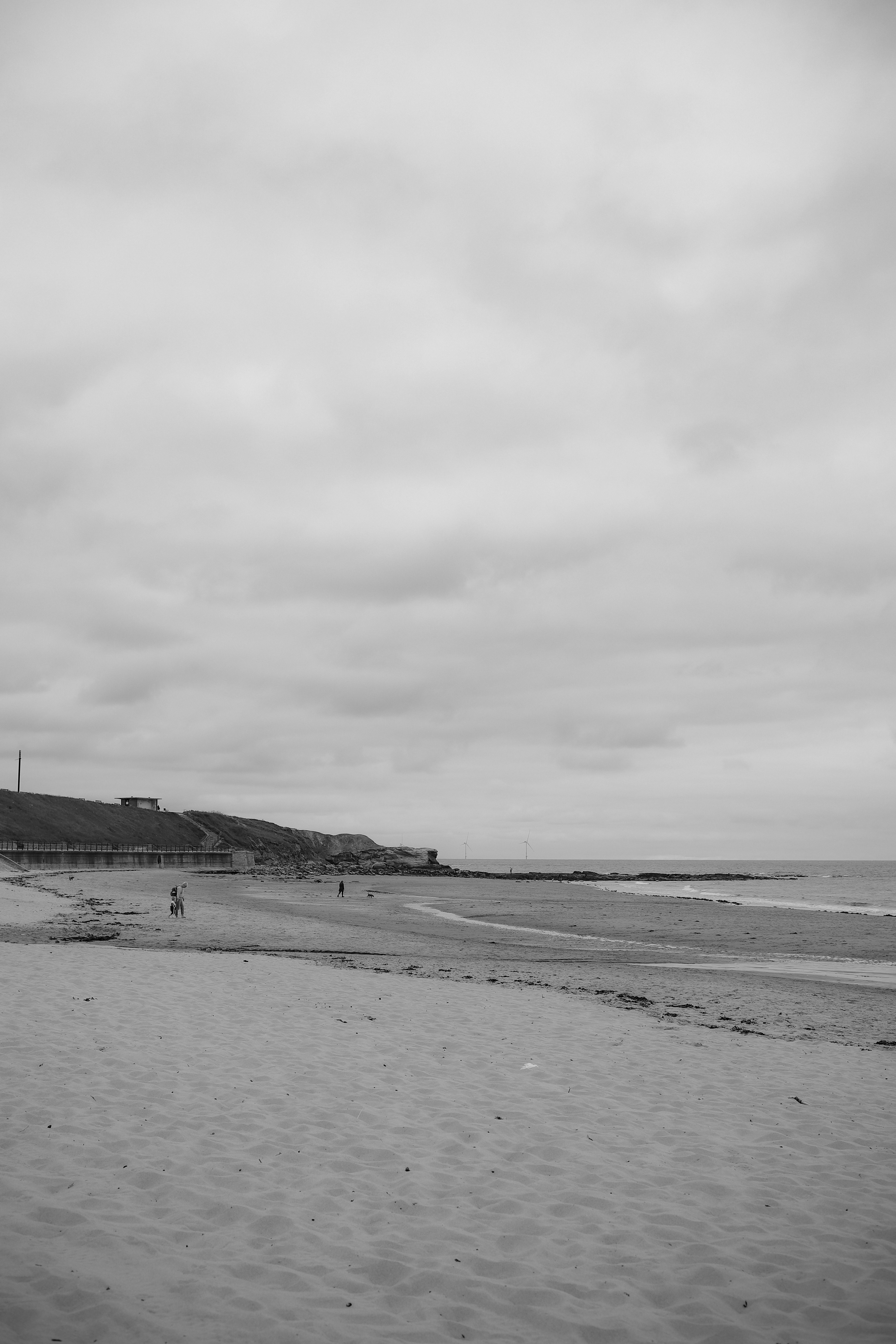 Photo by andysong1023