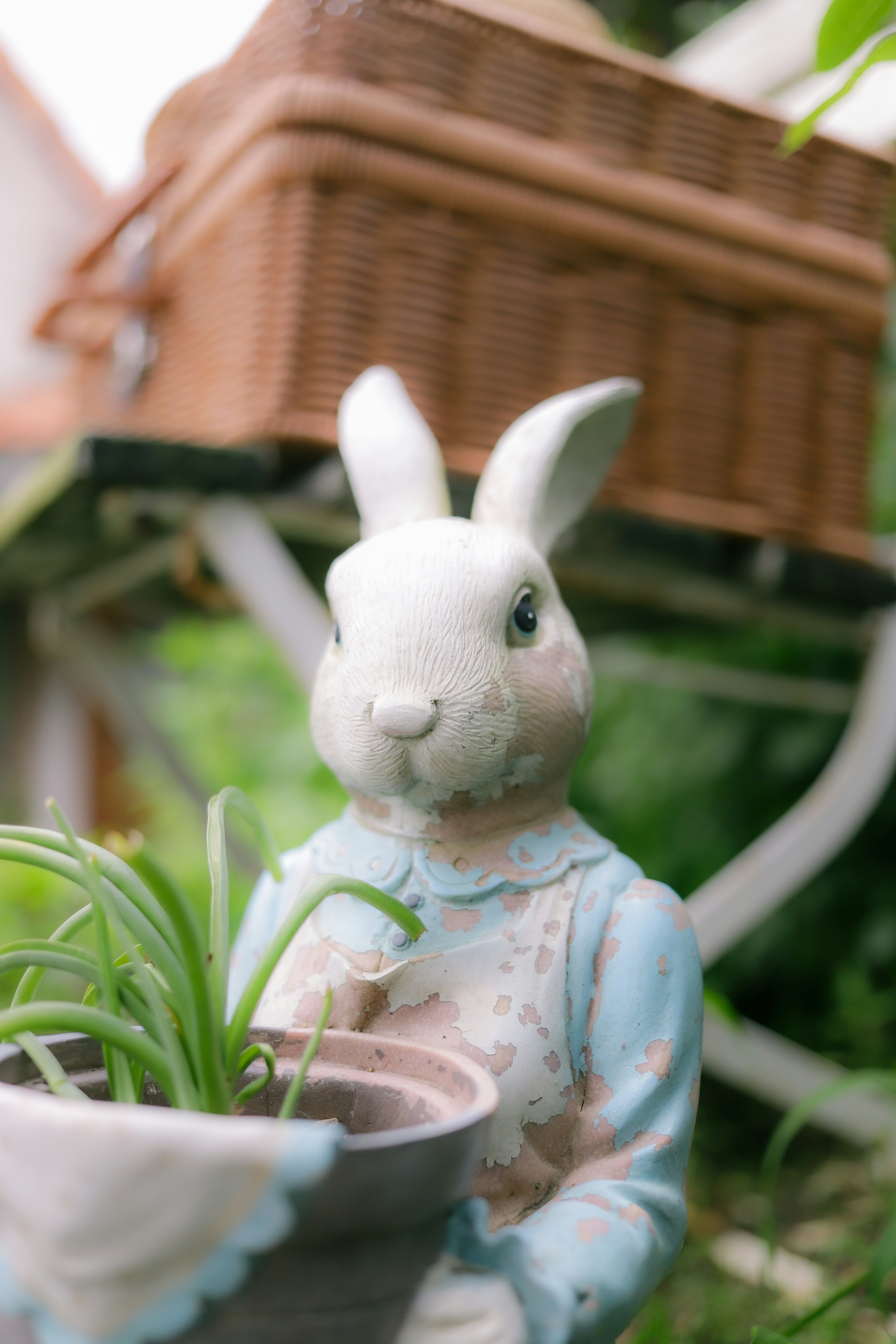 Photo by andysong1023