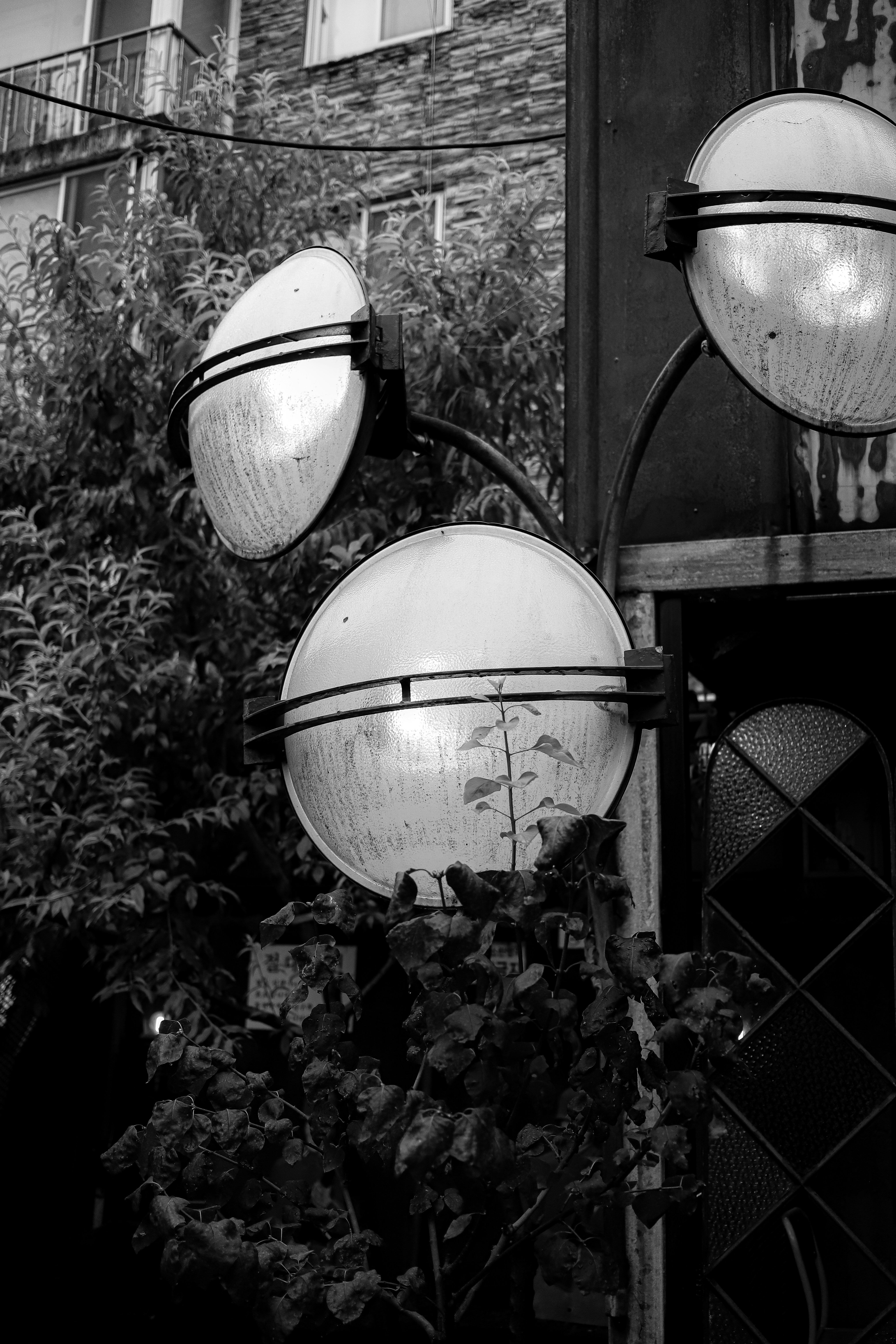 Photo by andysong1023