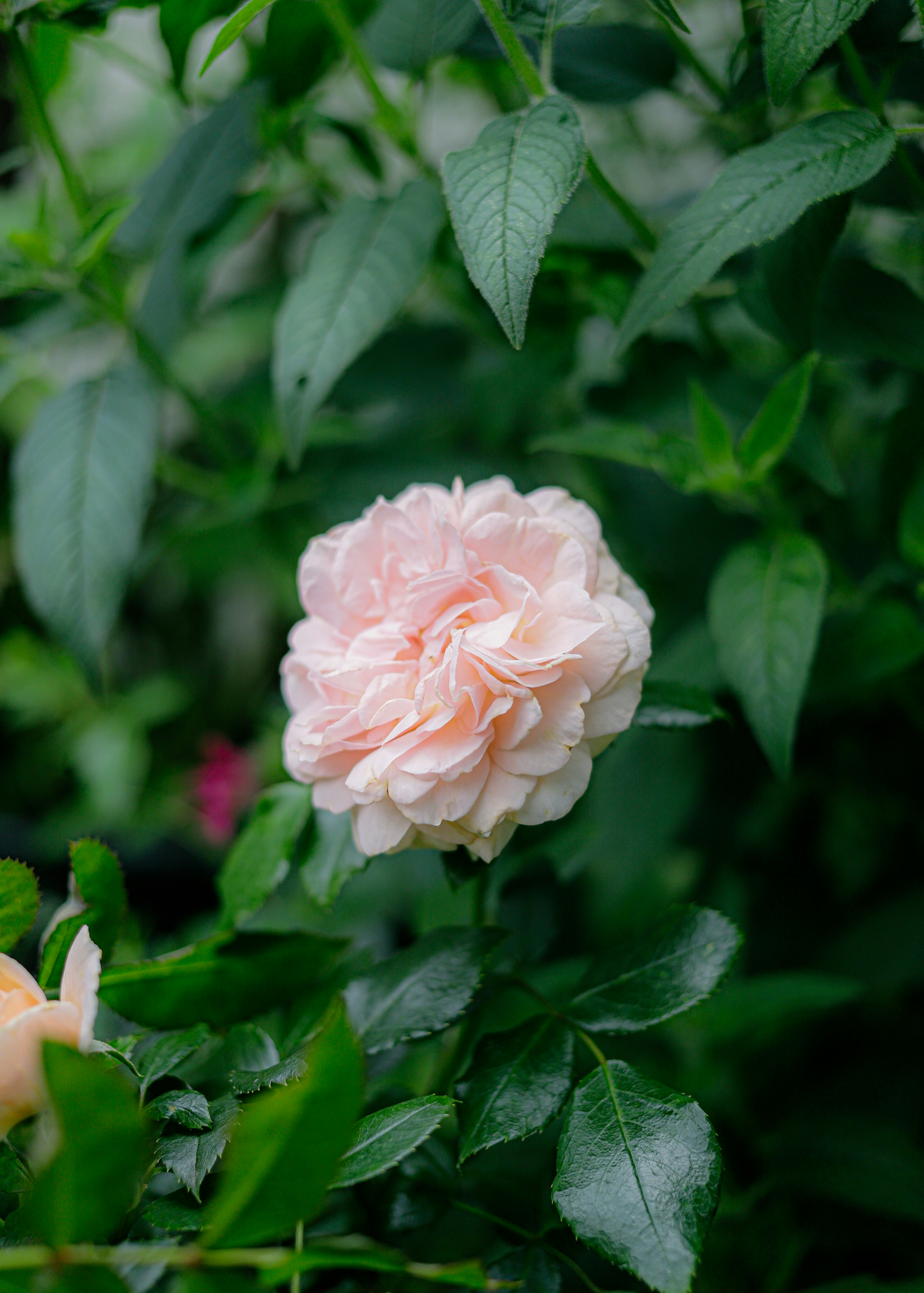 Photo by andysong1023