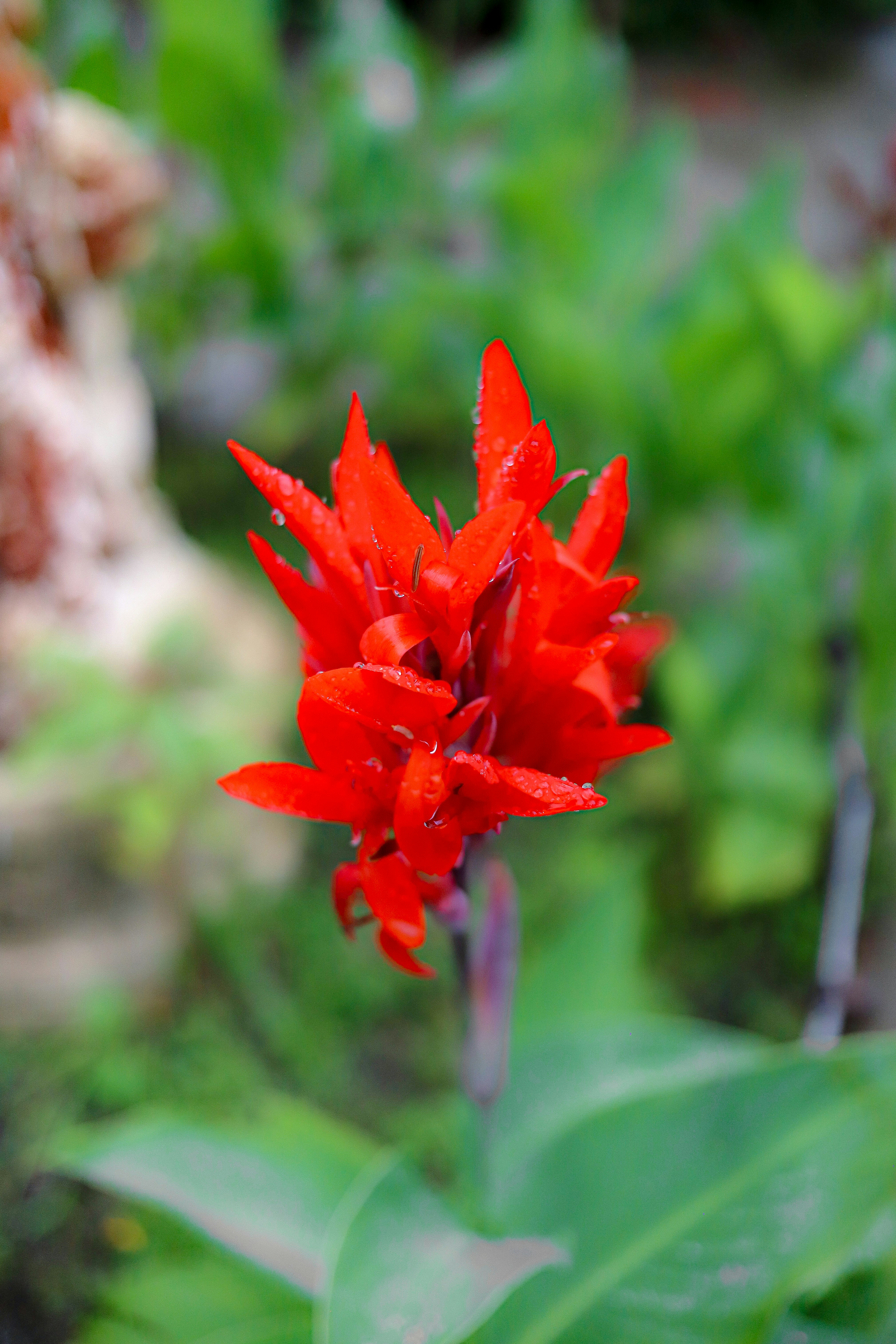 Photo by andysong1023