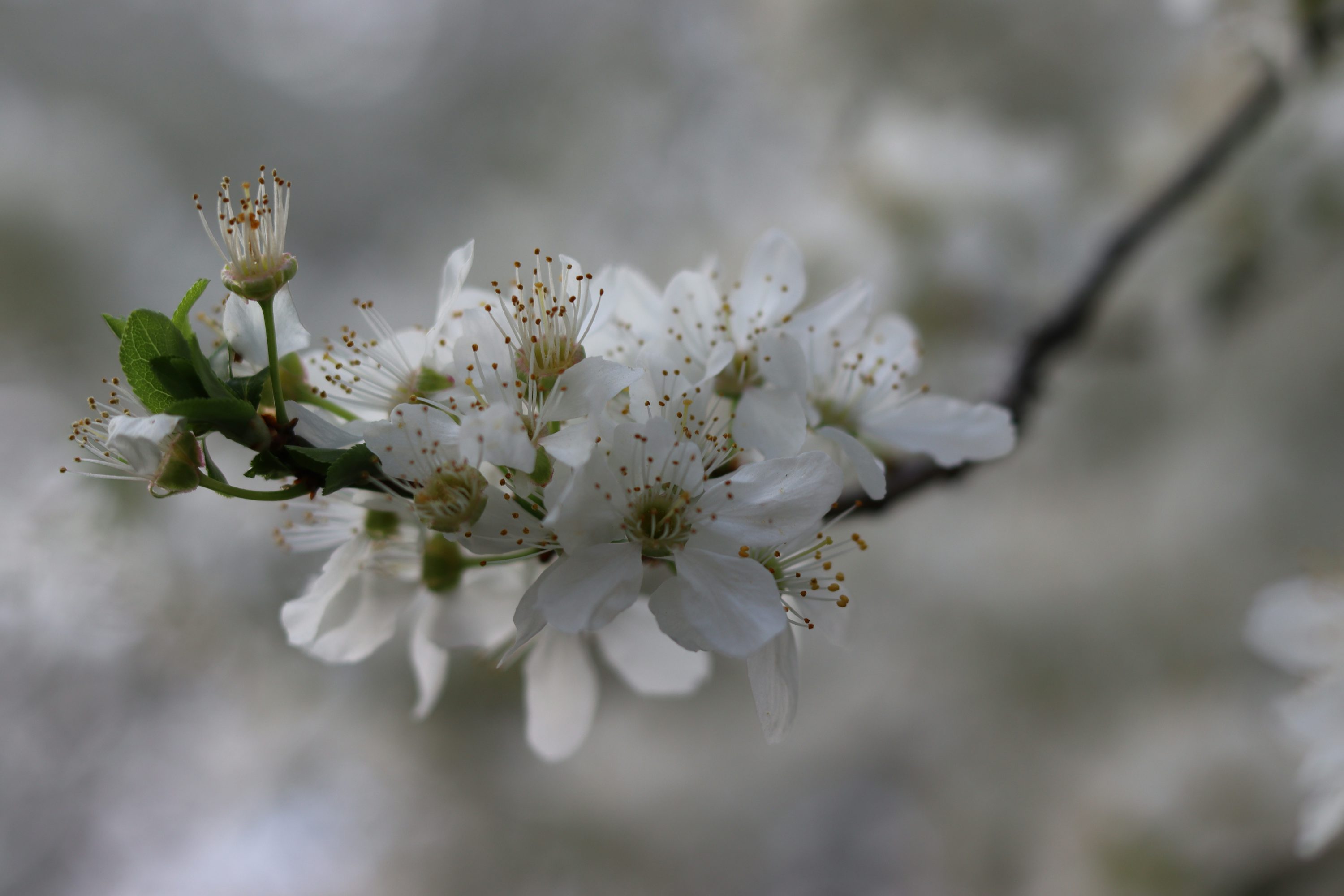 Free  Pictures Download Free Images on Unsplash Free  Pictures Download Free Images on Unsplash