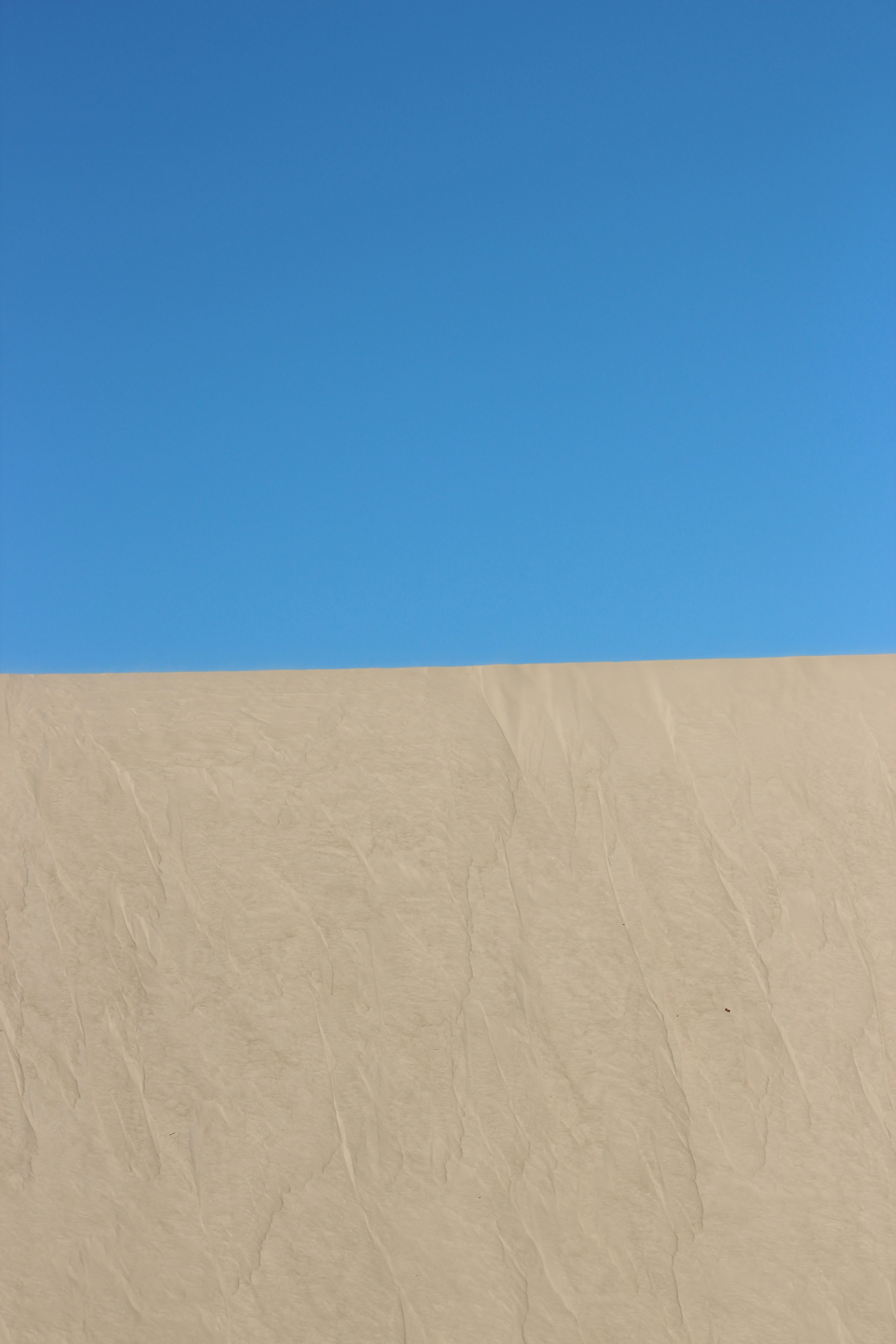 photo-1693833520336-b983a14407e2?ixid=M3
